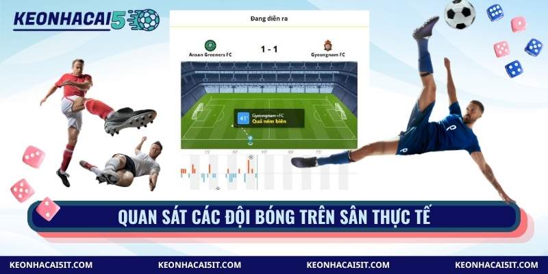 Quan sát các đội bóng trên sân thực tế