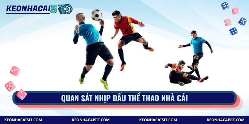 Quan sát nhịp đấu thể thao nhà cái